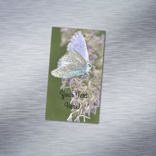 piepklein magnetisch visitekaartje (Voorbeeld)