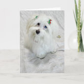 piepkleine schat kaart (Voorkant)