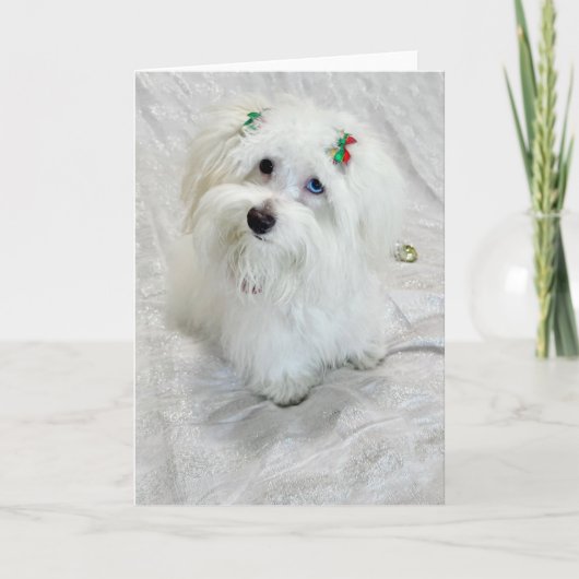 piepkleine schat kaart (Voorkant)