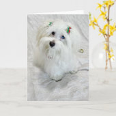 piepkleine schat kaart (Gele Bloem)