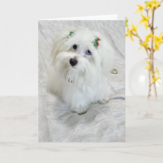 piepkleine schat kaart (Gele Bloem)