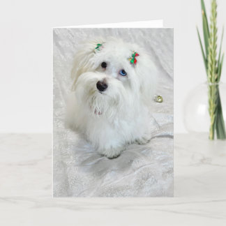 piepkleine schat kaart