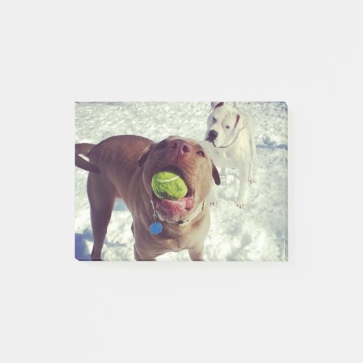 Piepups die alle knooppunten afspelen post-it® notes (Voorkant)