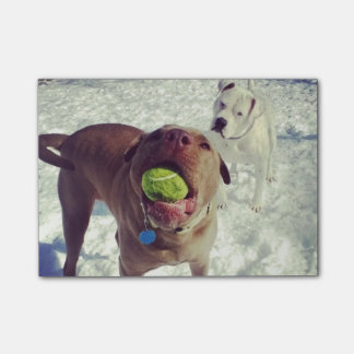 Piepups die alle knooppunten afspelen post-it® notes