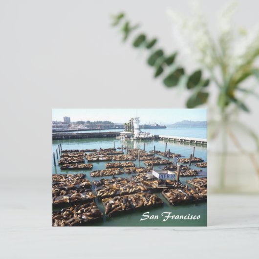 pier 39 briefkaart (Staand voorkant)