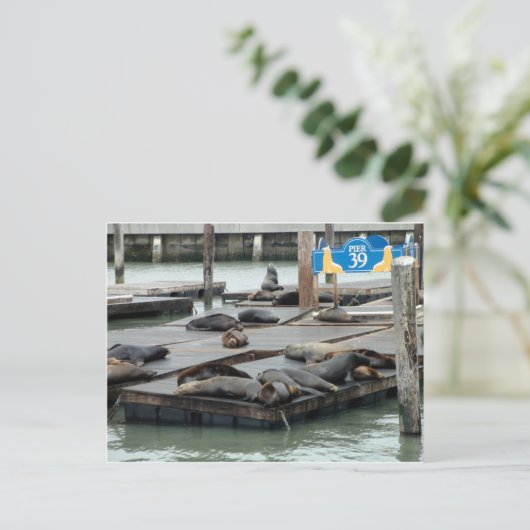 pier 39 briefkaart (Staand voorkant)