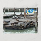 pier 39 briefkaart (Voorkant)