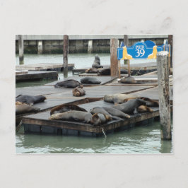 pier 39 briefkaart