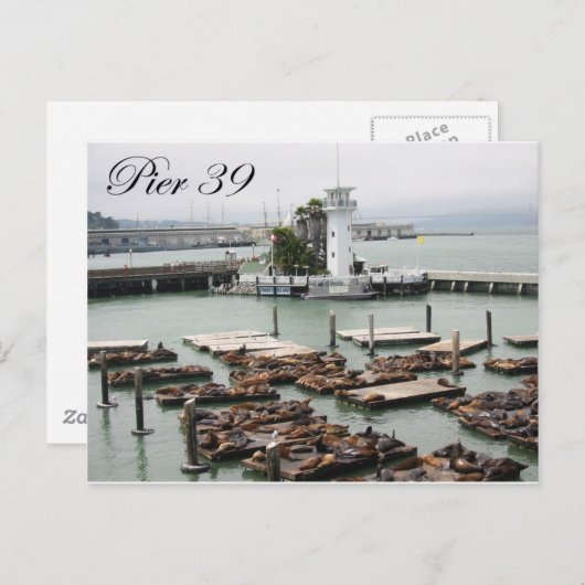 pier 39 briefkaart (Voorkant / Achterkant)