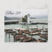 pier 39 briefkaart (Voorkant)