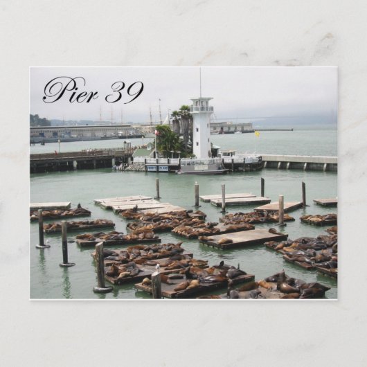 pier 39 briefkaart (Voorkant)