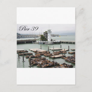 pier 39 briefkaart