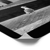 pier 39 poster (Hoek)