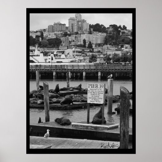 pier 39 poster (Voorkant)