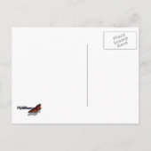 Pier 39 Zee leeuwen Briefkaart (Achterkant)