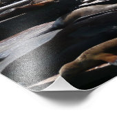 Pier 39 Zee leeuwen Foto Afdruk (Hoek)