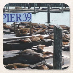 Pier 39 Zee leeuwen Kartonnen Onderzetters