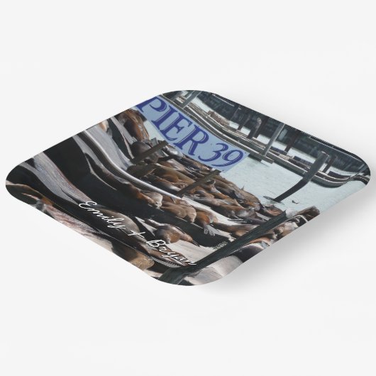 Pier 39 Zee leeuwen Papieren Bordje (Gebogen)