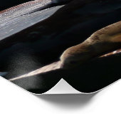 Pier 39 Zee leeuwen Poster (Hoek)