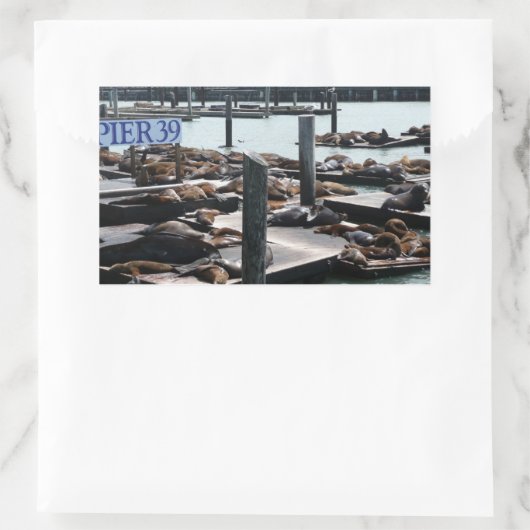 Pier 39 Zee leeuwen Rechthoekige Sticker (Tas)