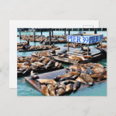 pier 39 | Zee leeuwen | San Francisco California Briefkaart (Voorkant / Achterkant)
