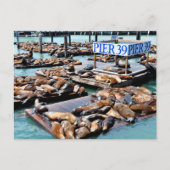 pier 39 | Zee leeuwen | San Francisco California Briefkaart (Voorkant)