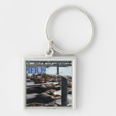 Pier 39 Zee leeuwen Sleutelhanger (Voorkant)