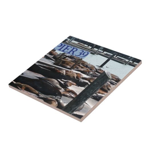 Pier 39 Zee leeuwen Tegeltje (Zijkant)