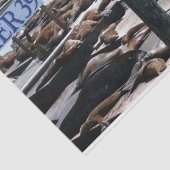 Pier 39 Zee leeuwen Tissuepapier (Detail)