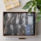 Pier 39 Zee leeuwen Tissuepapier (Geschenk)