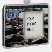 Pier 39 Zee leeuwen Verzilverd Omlijst Ornament (Rechts)