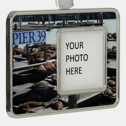 Pier 39 Zee leeuwen Verzilverd Omlijst Ornament (Rechts)