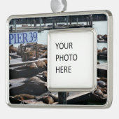 Pier 39 Zee leeuwen Verzilverd Omlijst Ornament (Links)