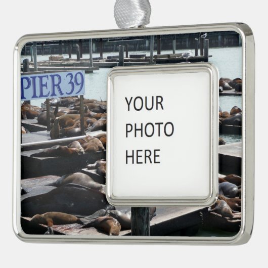 Pier 39 Zee leeuwen Verzilverd Omlijst Ornament (Links)