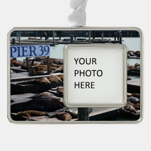 Pier 39 Zee leeuwen Verzilverd Omlijst Ornament (Voorkant)