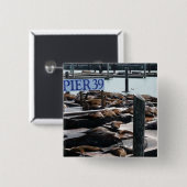 Pier 39 Zee leeuwen Vierkante Button 5,1 Cm (Voorkant /achterkant)