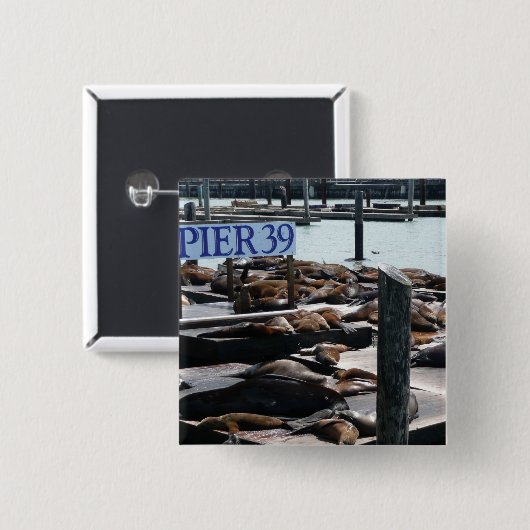 Pier 39 Zee leeuwen Vierkante Button 5,1 Cm (Voorkant /achterkant)