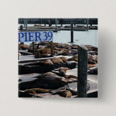 Pier 39 Zee leeuwen Vierkante Button 5,1 Cm (Voorkant)