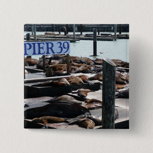 Pier 39 Zee leeuwen Vierkante Button 5,1 Cm (Voorkant)