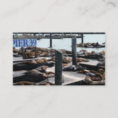 Pier 39 Zee leeuwen Visitekaartje (Achterkant)