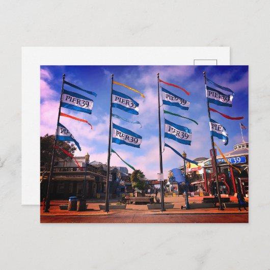 Pier 39 Zee Lion Statue #3 Briefkaart (Voorkant / Achterkant)