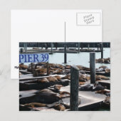Pier 39 Zeeleeuwen Briefkaart (Voorkant / Achterkant)