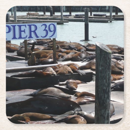 Pier 39 Zeeleeuwen Kartonnen Onderzetters (Voorkant)