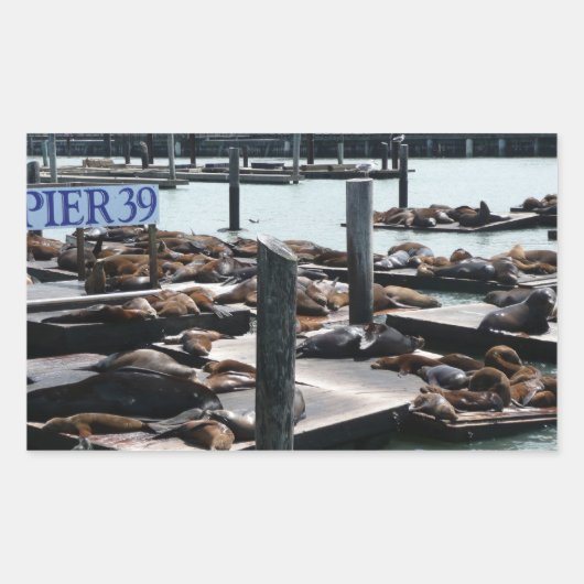 Pier 39 Zeeleeuwen Rechthoekige Sticker (Voorkant)