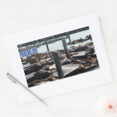 Pier 39 Zeeleeuwen Rechthoekige Sticker (Envelop)
