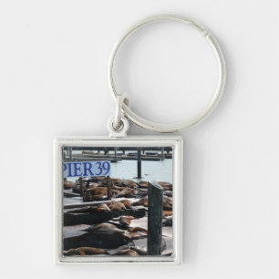 Pier 39 Zeeleeuwen Sleutelhanger