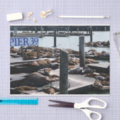Pier 39 Zeeleeuwen Tissuepapier (Craft)