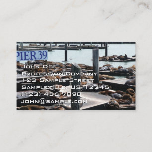 Pier 39 Zeeleeuwen Visitekaartje