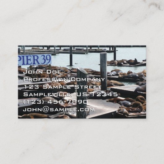 Pier 39 Zeeleeuwen Visitekaartje (Voorkant)