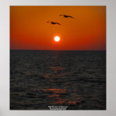 Pier 60 Clearwater, FL Sunset Poster (Voorkant)